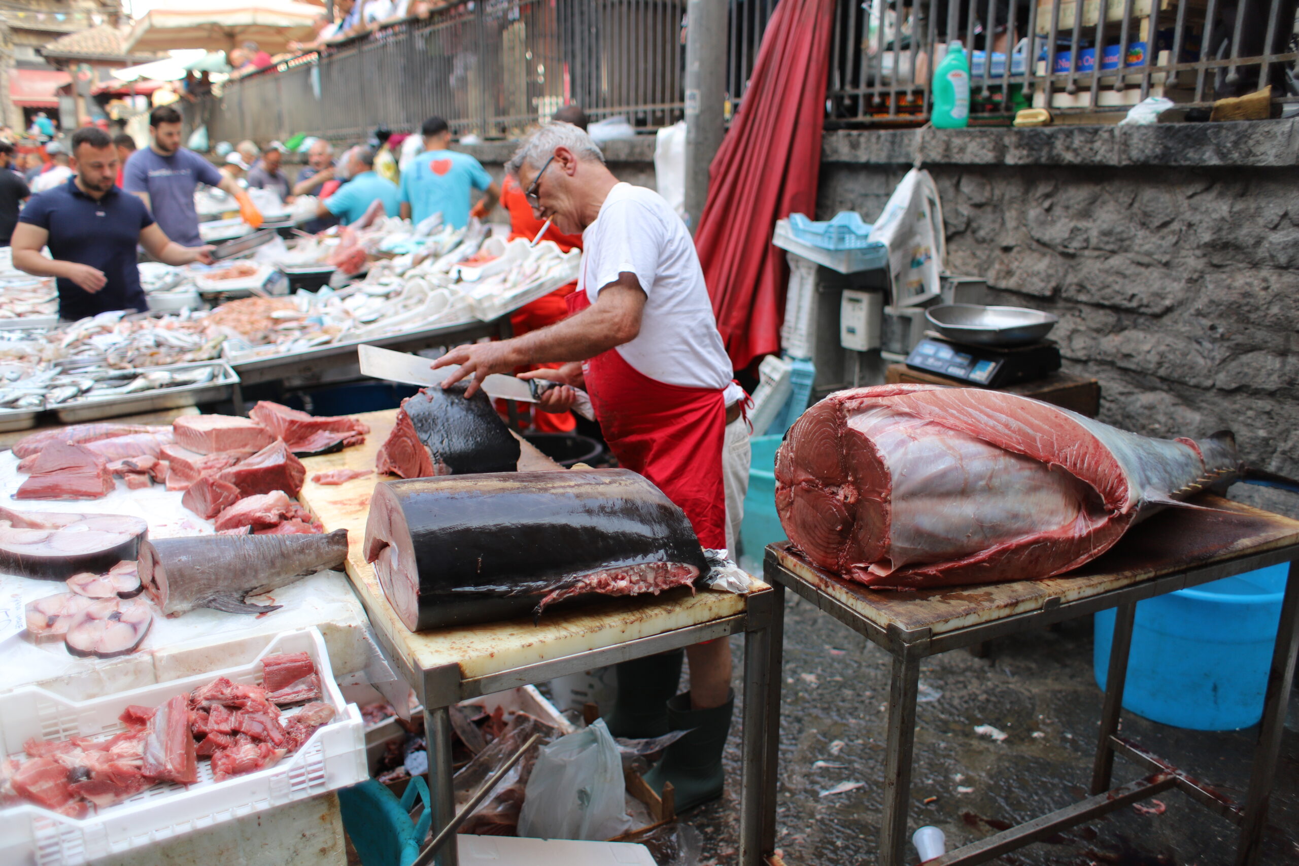 The final image shows a vendor carefully cutting large pieces of tuna. The deep red and dark hues of the fish flesh are striking against the more subdued colors of the background. The vendor's focused expression and precise movements highlight the skill involved in preparing the fish. The market stalls, lined with various seafood items, create a dense and busy atmosphere, reinforcing the market's role as a vital hub for the local community. The wet cobblestones reflect the morning light, adding a dynamic quality to the scene.
