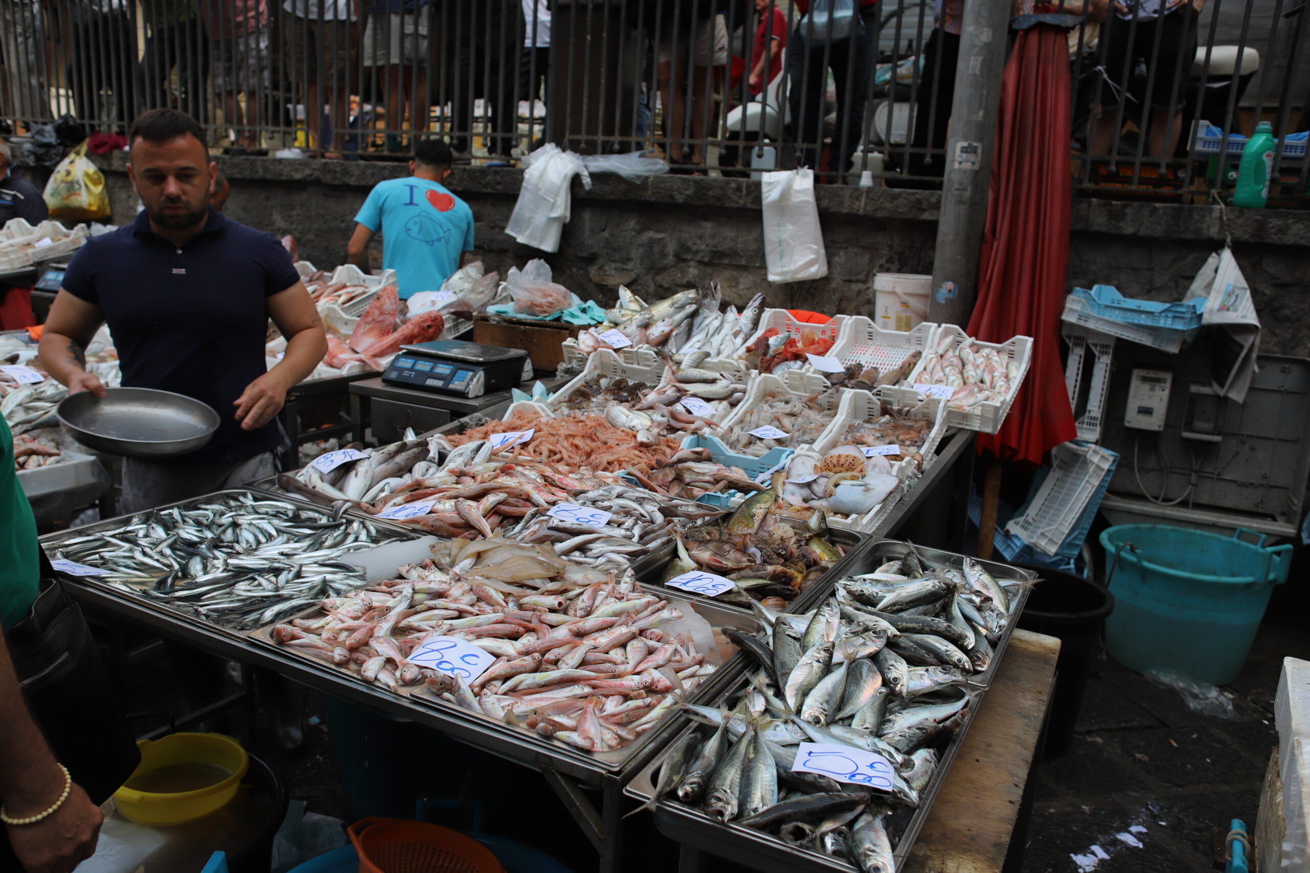 A detailed close-up of a stall overflowing with various types of fish and seafood. The vendor in the foreground appears ready to assist customers, while the assortment of fish, each marked with price tags, showcases the market's extensive offerings. The vivid colors and textures of the seafood create a visually rich tapestry, emphasizing the freshness and diversity available at La Pescheria. The surrounding setup, with scales and baskets, underscores the traditional, hands-on approach to selling fish.