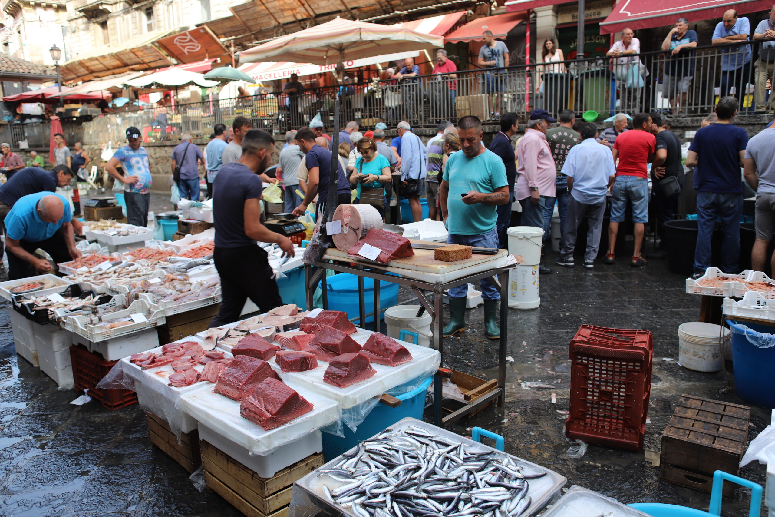 This image captures a broader view of the market, showcasing the variety and abundance of seafood on display. Stalls are lined with an assortment of fish, from small silver sardines to larger cuts of meat. The vendors, dressed in practical attire, work efficiently amidst the crowd. The elevated perspective includes onlookers observing from above, adding depth and a sense of enclosure to the scene. The red umbrellas and awnings create a festive atmosphere, enhancing the market's lively vibe.