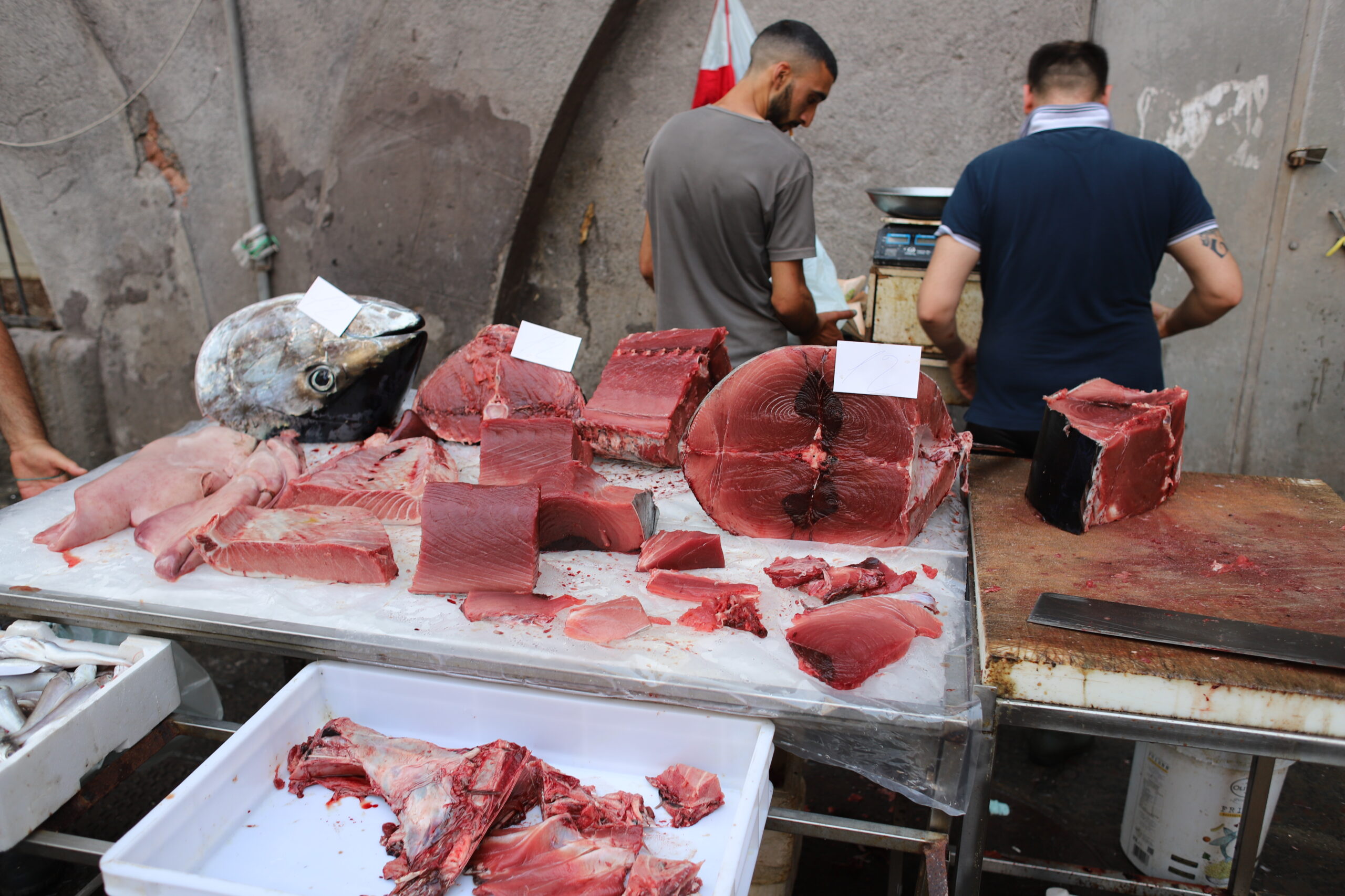 This close-up image focuses on the sheer variety of fish available at the market. Large chunks of tuna, neatly sectioned, reveal the rich red hues of the flesh. The fish head, prominently displayed, adds a dramatic touch. Behind the table, two vendors, busy with their tasks, emphasize the market's constant activity. The worn surfaces and simple setup highlight the authenticity and traditional methods employed at La Pescheria.