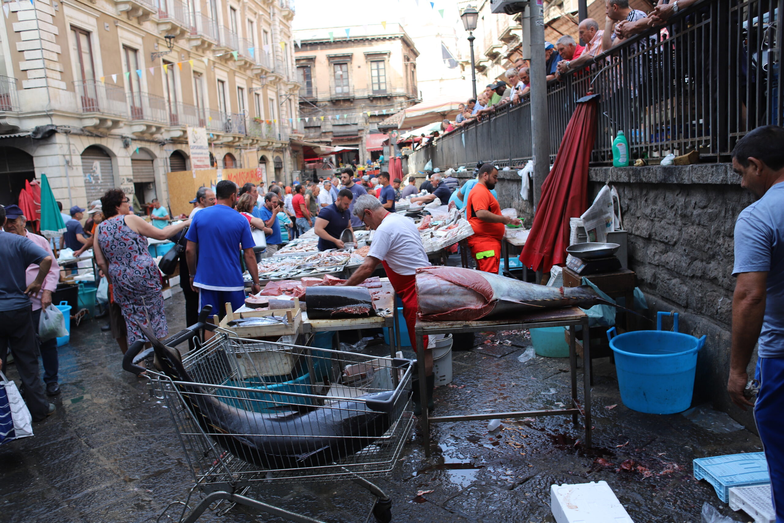 In this image, the market is alive with activity. Vendors in colorful clothing are seen meticulously arranging and selling a wide array of fresh fish. The foreground is dominated by a large tuna being butchered, its deep red flesh contrasting sharply with the metallic surfaces and the rustic backdrop. Shoppers, including a mix of locals and tourists, navigate the crowded aisles, negotiating prices and selecting their purchases. The historical buildings flanking the market add a timeless charm, with their balconies overlooking the bustling scene below.