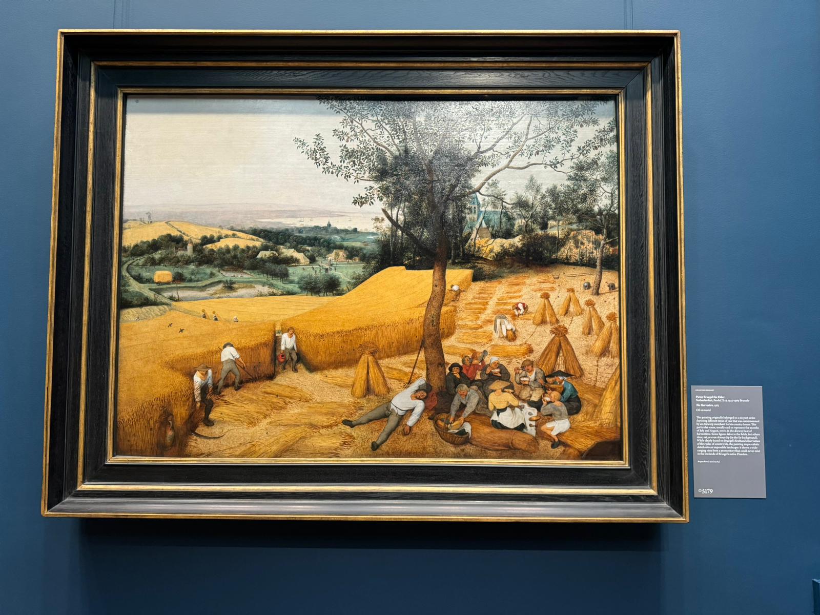 Pieter Bruegel the Elder's "The Harvesters"