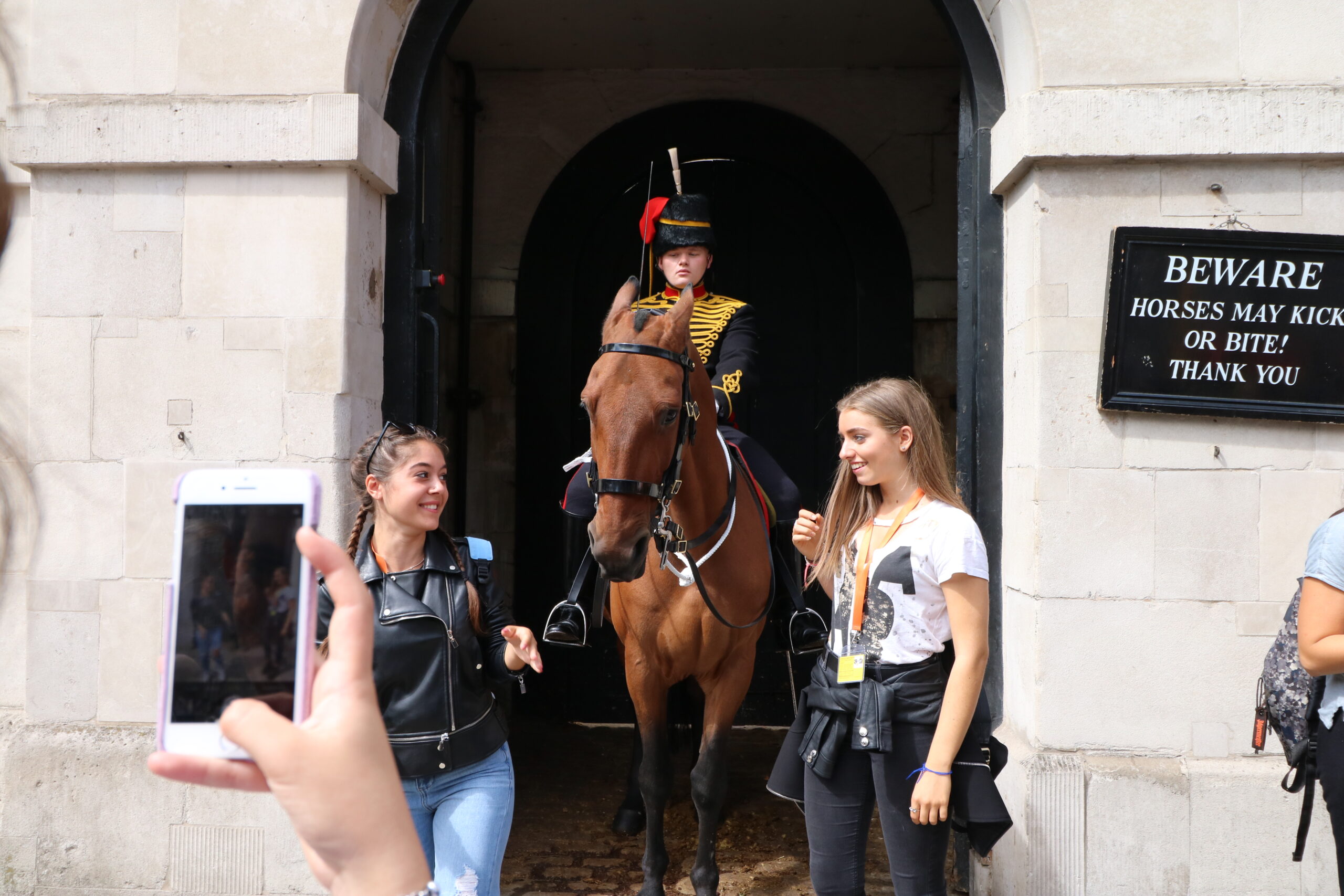 BEWARE: HORSES MAY KICK OR BITE! THANK YOU.